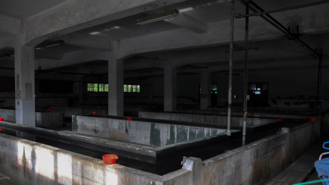 TRA Kaohsiung Railway Workshop Bathhouse scene picture