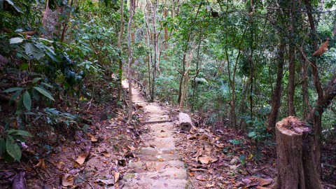 美濃雙溪樹木園場景圖