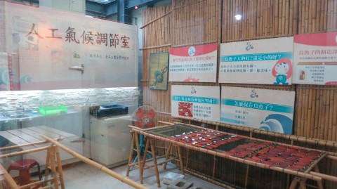 珍芳烏魚子見學工廠場景圖