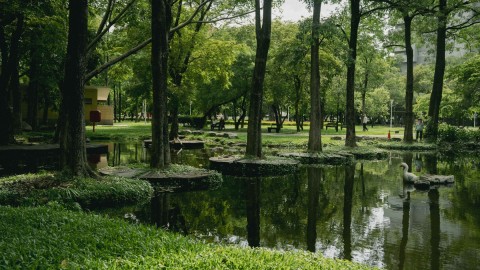 Dadong Wetlands Park scene picture