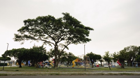 中油海洋天堂公園場景圖