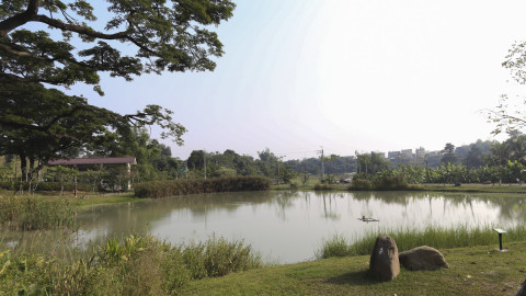 阿公店森林公園場景圖